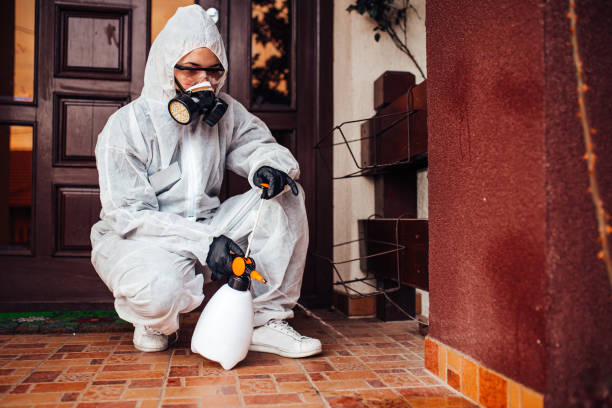 Reliable Cockroach Control contractor in Haughton, LA by Nex Pest Control